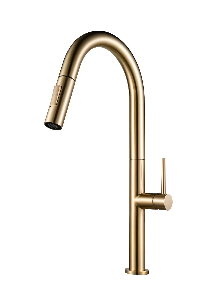 ברז מטבח דגם הלל